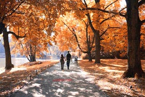 欧国联盛况：球迷共同见证精彩比赛！