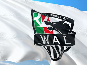 九游体育官网入口-“东部新区赛场，腰旗美式橄榄球让人血脉喷张”  第2张